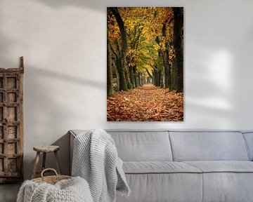 Smal bospad omringd door eikenbomen in goudgele herfstkleuren van Bram Lubbers