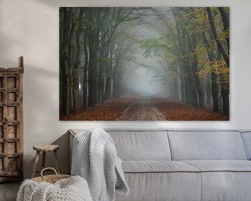 Mist aan het einde van de tunnel van eikenbomen in herfstkleur in natuurgebied Planken Wambuis van Bram Lubbers