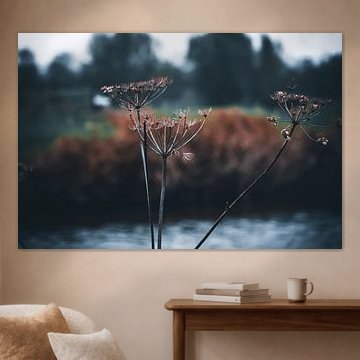 Peace in the Autumn Silence