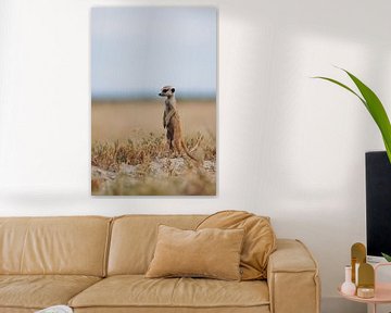 Stokstaartje houdt de wacht in de zoutpannen van Botswana van Geke Woudstra