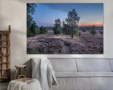 Lüneburger Heide op het blauwe uur van Patrice von Collani