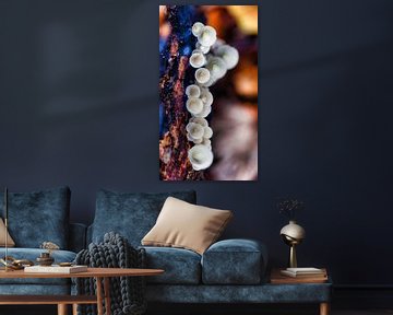 Paddestoelen op stronk van FotoSynthese