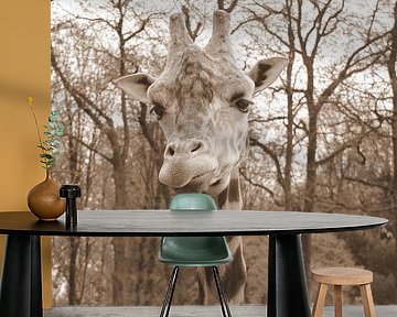 Giraffe in sepia by Jose Lok
