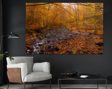 Herfst in de Ardennen van Geert Van Baelen