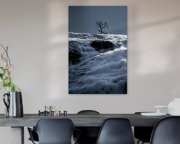 The guardian of the Nyastolfossen by Gerry van Roosmalen