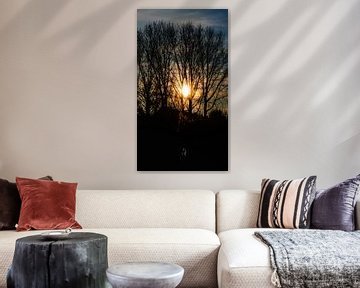 Herfstzon door de bomen