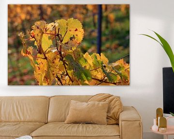 Herfst wingerdblad van Thomas Jäger