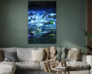 On the riverbank by Thomas Jäger