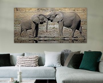 Be together - Africa wildlife van W. Woyke