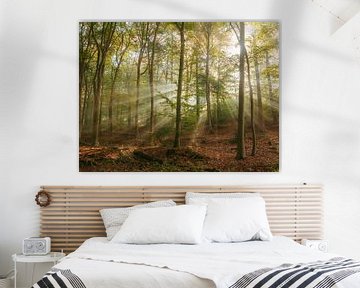 Beams of light in the forest by Kay Wils
