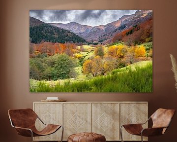 Herfstkleuren Auvergne 02
