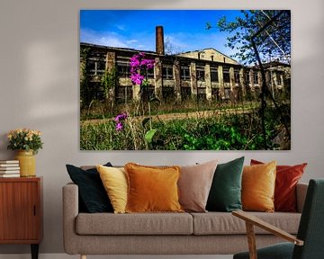 Wrakke munitie en chemische fabriek en nieuwe bloemen - de natuur vindt haar weg van InfiniteArtLabs