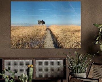 de kiekkaaste, nieuwe statenzijl van M. B. fotografie