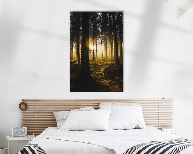 Aperçu de la chambre