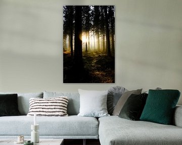 Forest Beetsterzwaag by Jeen Arendz