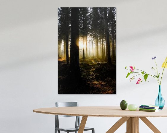 Aperçu de la chambre