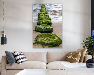 Bubikopf vert sur la plage sur Holger Felix