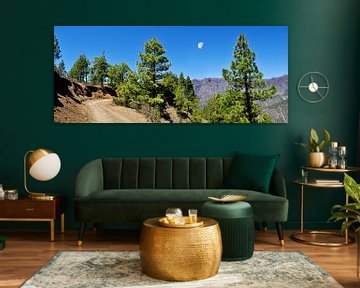Inside the Taburiente volcano on La Palma by Corinne Welp