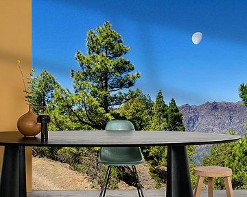 Inside the Taburiente volcano on La Palma by Corinne Welp