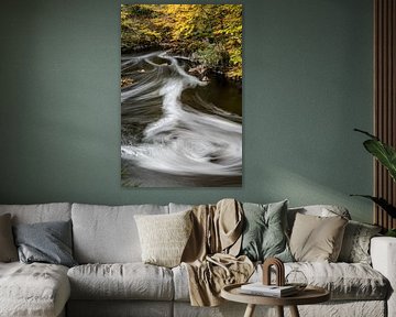 Danska Fallet: De Betovering van Herfst in de Bossen I van Gerry van Roosmalen