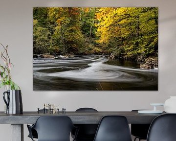 Danska Fallet: De Betovering van Herfst in de Bossen II van Gerry van Roosmalen