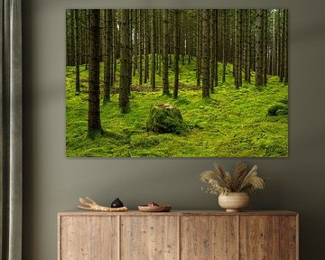 Danska Fallet: De Betovering van Herfst in de Bossen V van Gerry van Roosmalen