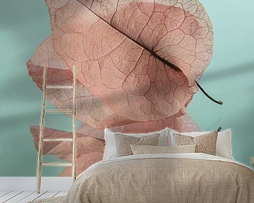 Structure of veins: Dried leaves of Bougainvillea by Marjolijn van den Berg