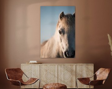 Paard Zacht onder de Hemel Portret van Pony in Natuurlijk Licht van Femke Ketelaar