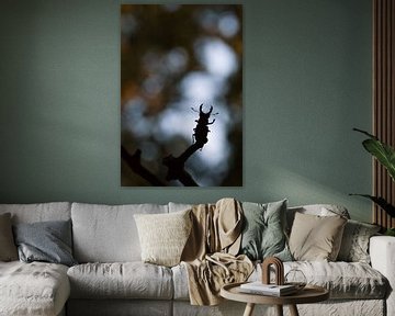 silhouet van zwaaiend vliegend hert van Francois Debets