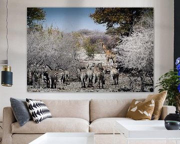 Zebras and giraffes in Etosha by Arthur van Iterson