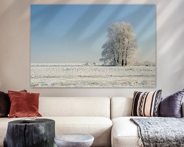 Holland in the snow