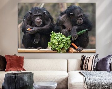 Chimpansees eten groenten. van Luuk van der Lee