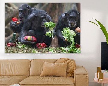 Chimpansees eten groenten.
