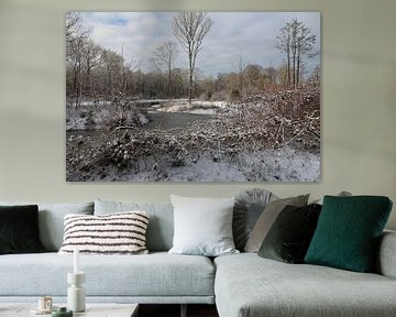 Winter in Friesland van Fotografie Sybrandy