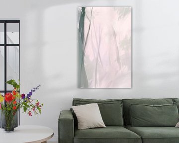 Delicate shadows in the cloud forest