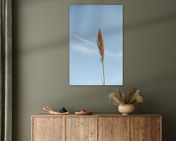 Pluim Griekenland van HelloHappylife