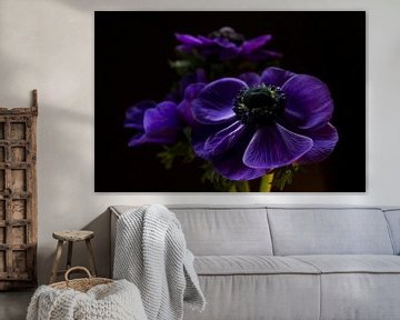 Purple beauty by Esther Valstar