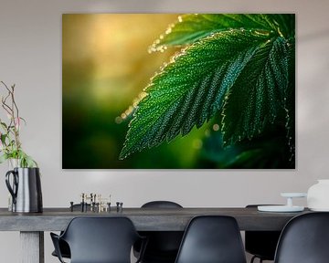 Fresh leaf with dew pearls in the light by Poster Art Shop