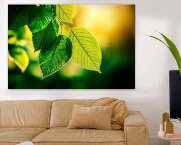 Groene bladeren in het zonlicht van Poster Art Shop