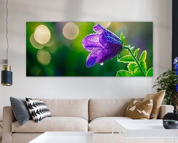 Paarse bloesem in het ochtendlicht van Poster Art Shop