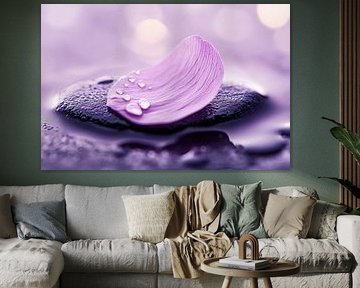 Pétales violets sur pierre humide sur Poster Art Shop