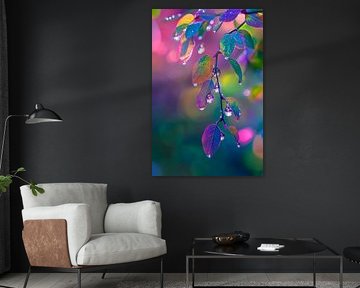 Feuilles arc-en-ciel avec gouttes sur Poster Art Shop