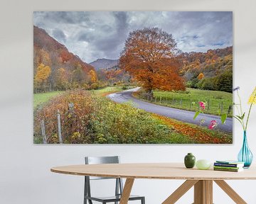 Herfstkleuren Auvergne 05