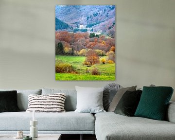 Herfstkleuren Auvergne 07
