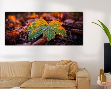 Druppels op een kleurrijk blad van Poster Art Shop