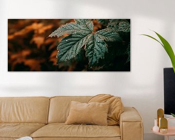 Drops on green leaves by Poster Art Shop