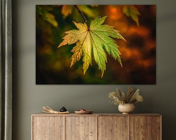 Gouttes sur feuille d'érable verte sur Poster Art Shop