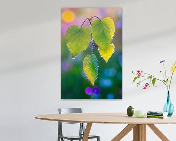 Green leaves with drops in the light by Poster Art Shop