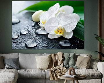 White orchids with water droplets by Poster Art Shop