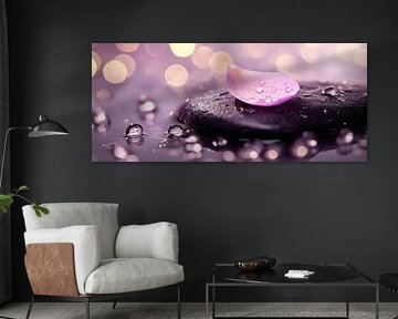 Zarte Blüte auf schwarzem Stein von Poster Art Shop
